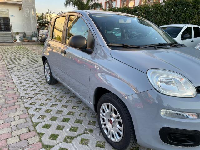 Auto - Fiat panda 1.2 easypower easy