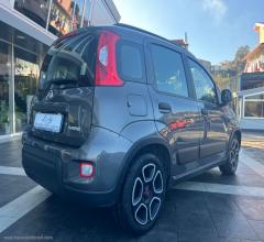 Auto - Fiat panda 1.0 firefly s&s hybrid city life