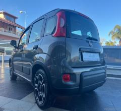 Auto - Fiat panda 1.0 firefly s&s hybrid city life