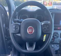 Auto - Fiat panda 1.0 firefly s&s hybrid city life