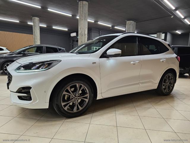 Auto - Ford kuga 1.5 ecoblue 120 cv 2wd st-line