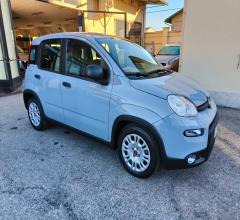 Auto - Fiat panda 1.0 firefly s&s hybrid