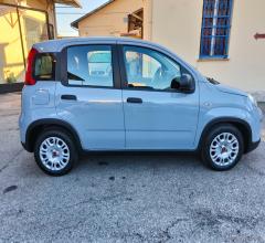 Auto - Fiat panda 1.0 firefly s&s hybrid