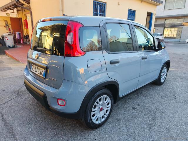 Auto - Fiat panda 1.0 firefly s&s hybrid