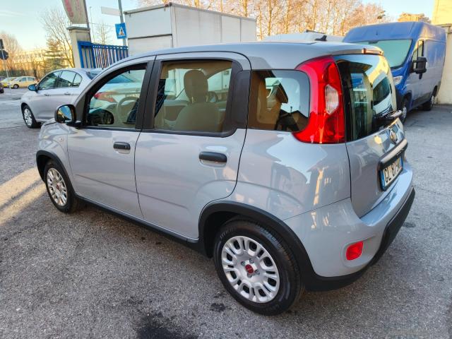 Auto - Fiat panda 1.0 firefly s&s hybrid