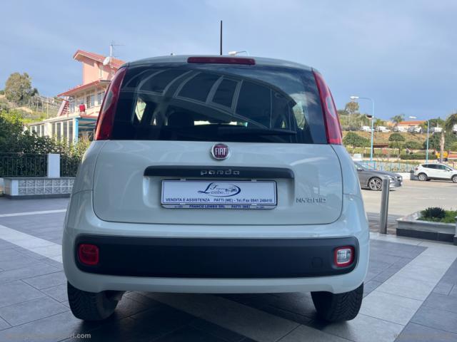 Auto - Fiat panda 1.0 firefly s&s hybrid easy