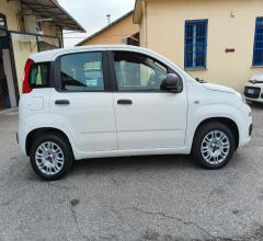 Auto - Fiat panda 1.2 easy