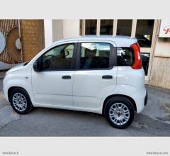 Auto - Fiat panda 1.3 mjt 95 cv s&s easy