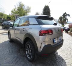 Auto - Citroen c4 cactus bluehdi 100 s&s feel edition