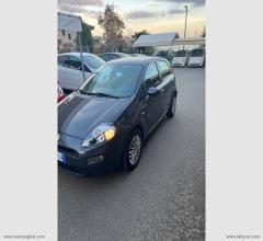 Auto - Fiat punto 1.3 mjt ii 75 cv 5p. street