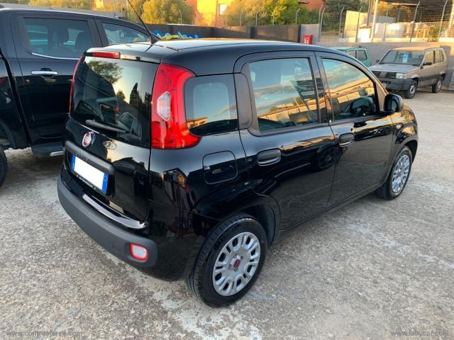 Auto - Fiat panda 1.2 easy