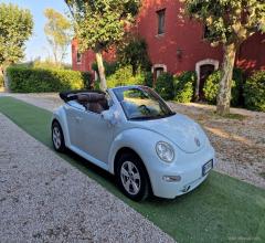 Volkswagen new beetle 1.9 tdi 101cv kite