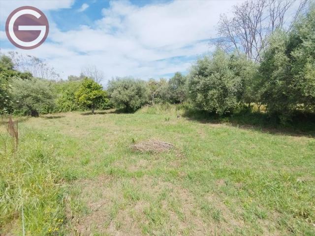 Appartamenti in Vendita - Terreno agricolo in vendita a taurianova zona semicentrale