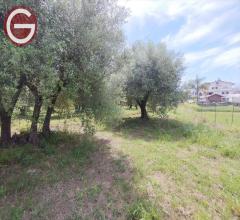 Appartamenti in Vendita - Terreno agricolo in vendita a taurianova zona semicentrale