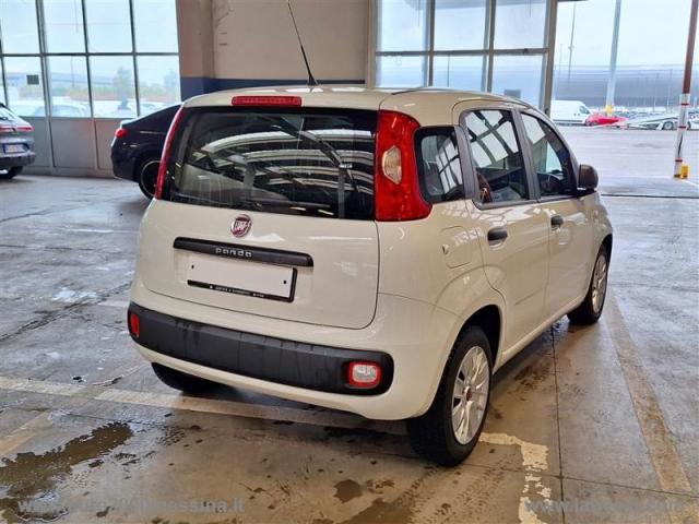 Auto - Fiat panda 1.3 mjt 95 cv s&s easy