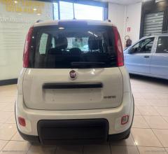 Auto - Fiat panda 1.0 firefly s&s hybrid city cross