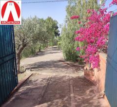 Appartamenti in Vendita - Terreno agricolo in vendita a caltanissetta periferia