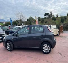 Auto - Fiat punto 1.2 8v 5p. pop