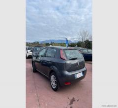 Auto - Fiat punto 1.2 8v 5p. pop