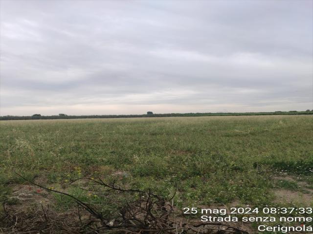 Appartamenti in Vendita - Terreno agricolo in vendita a cerignola san marco