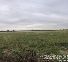 Appartamenti in Vendita - Terreno agricolo in vendita a cerignola san marco