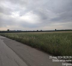 Appartamenti in Vendita - Terreno agricolo in vendita a cerignola san marco