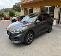 Auto - Ford kuga 1.5 ecoblue 120 cv 2wd st-line