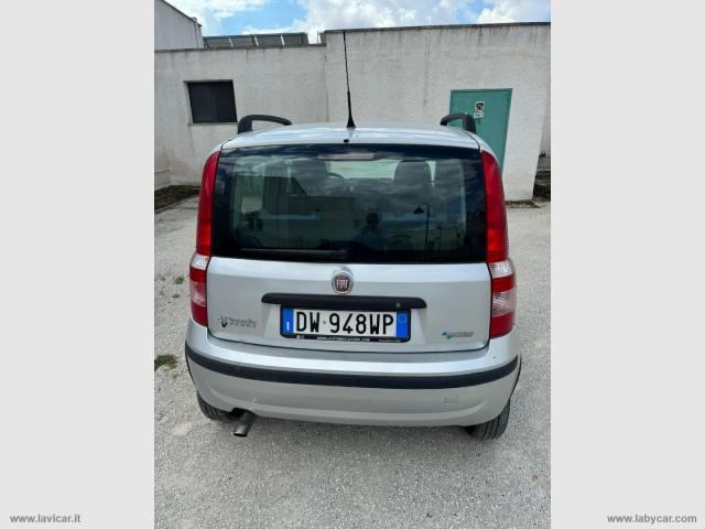 Auto - Fiat panda 1.2 dynamic natural power