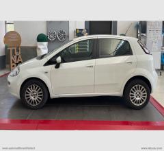 Auto - Fiat punto 1.4 8v 5p. natural power street