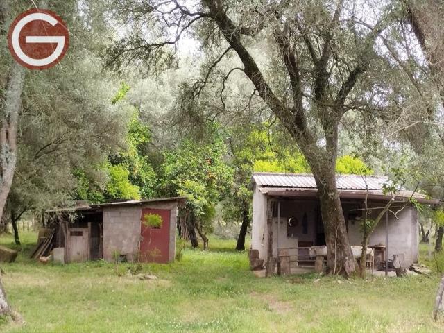 Appartamenti in Vendita - Terreno agricolo in vendita a taurianova periferia