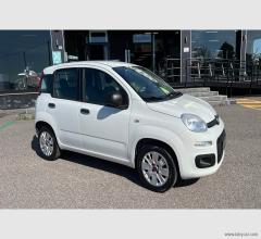 Auto - Fiat panda 1.2 pop van 2 posti