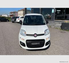 Auto - Fiat panda 1.2 pop van 2 posti