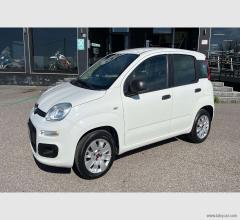 Auto - Fiat panda 1.2 pop van 2 posti