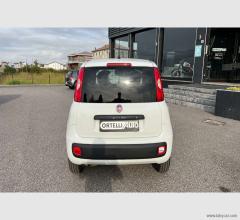 Auto - Fiat panda 1.2 pop van 2 posti