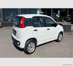 Auto - Fiat panda 1.2 pop van 2 posti