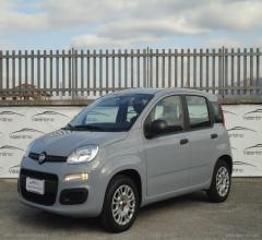 Auto - Fiat panda 1.0 firefly s&s hybrid