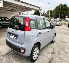 Auto - Fiat panda 1.2 easy