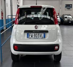 Auto - Fiat panda 1.2 easy