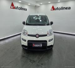 Auto - Fiat panda 1.0 firefly s&s hybrid city life