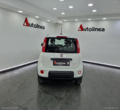 Auto - Fiat panda 1.0 firefly s&s hybrid city life