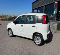 Auto - Fiat panda 1.2 gpl pop van 2 posti