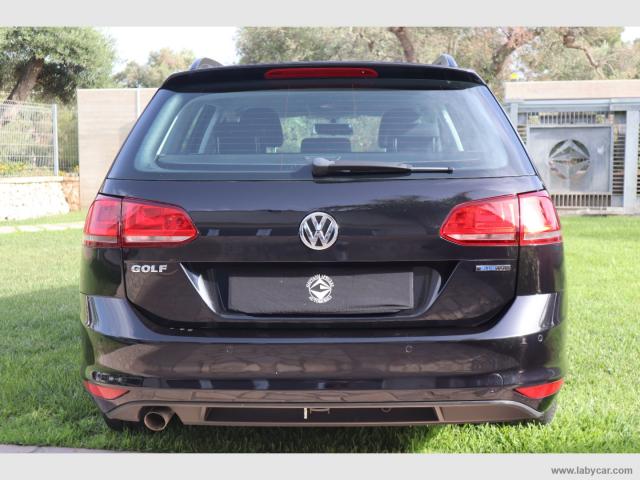 Auto - Volkswagen golf variant 1.6 tdi 110 cv business bmt