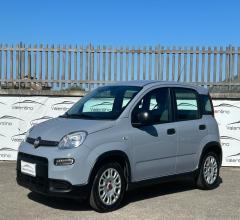 Fiat panda 1.0 firefly s&s hybrid