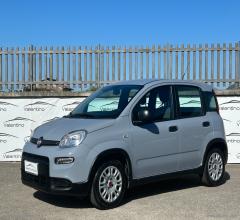 Auto - Fiat panda 1.0 firefly s&s hybrid