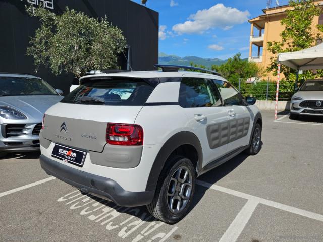 Auto - Citroen c4 cactus bluehdi 100 s&s shine