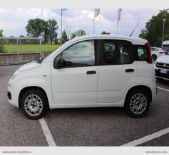 Auto - Fiat panda 1.2 easy