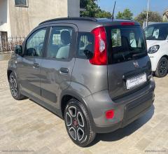 Auto - Fiat panda 1.0 firefly s&s hybrid city life