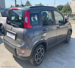 Auto - Fiat panda 1.0 firefly s&s hybrid city life