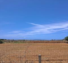 Appartamenti in Vendita - Terreno agricolo in vendita a misiliscemi palma