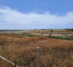 Appartamenti in Vendita - Terreno agricolo in vendita a misiliscemi palma